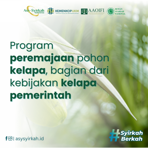 Program peremajaan pohon kelapa, bagian dari kebijakan kelapa pemerintah